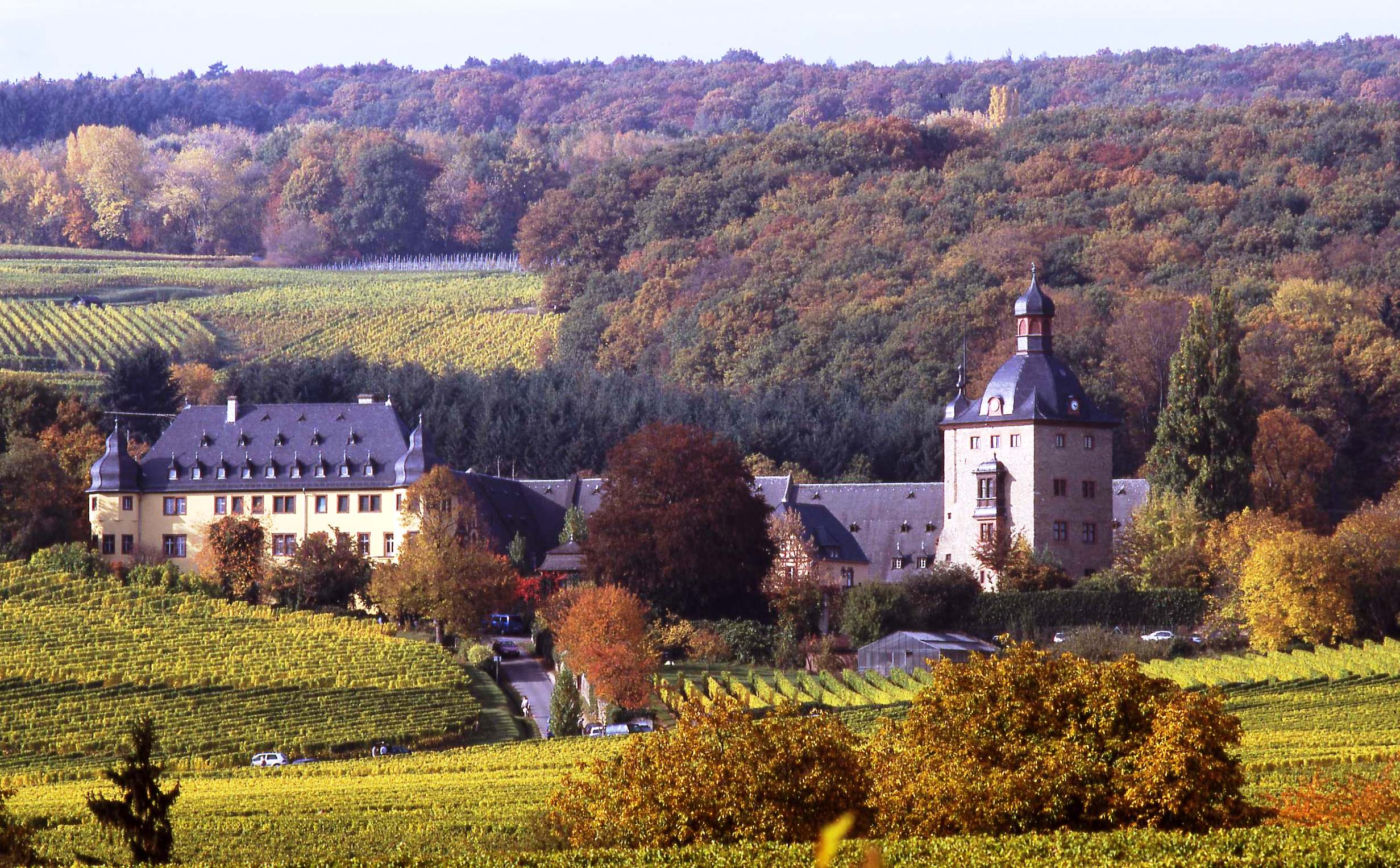 Schloß Vollrads