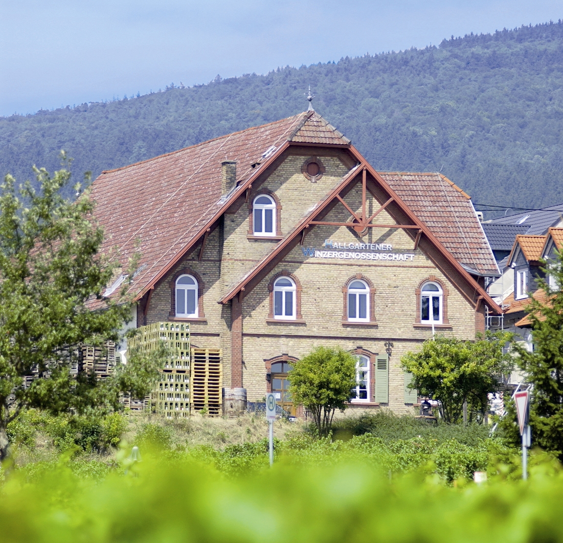 WG Hallgarten