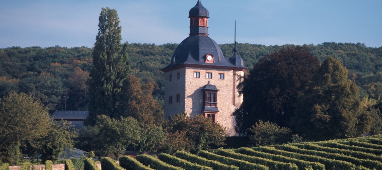 Weingut