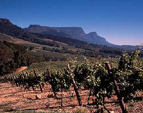 Rioja