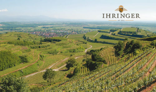 Kaiserstühler Winzergenossenschaft Ihringen eG