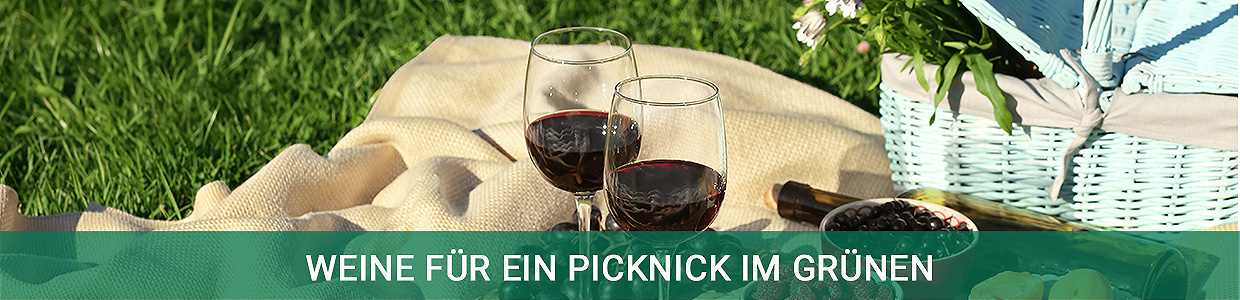 Picknick im Grünen Picknick im Grünen