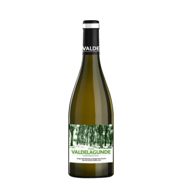 Valdelagunde Cuvée Especial VT Castilla y León Verdejo