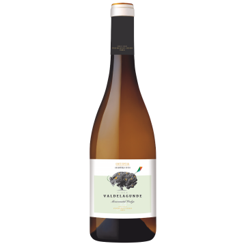 Valdelagunde Cuvée Especial VT Castilla y León Verdejo