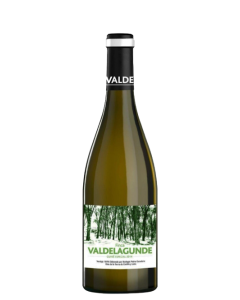 Valdelagunde Cuvée Especial VT Castilla y León Verdejo