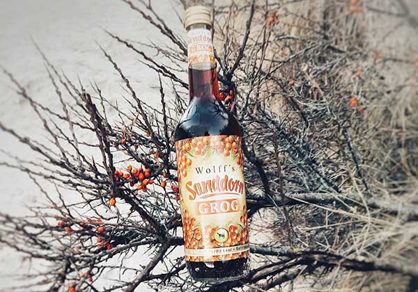 Flasche Sanddorn Grog vor einem Sanddorn Busch