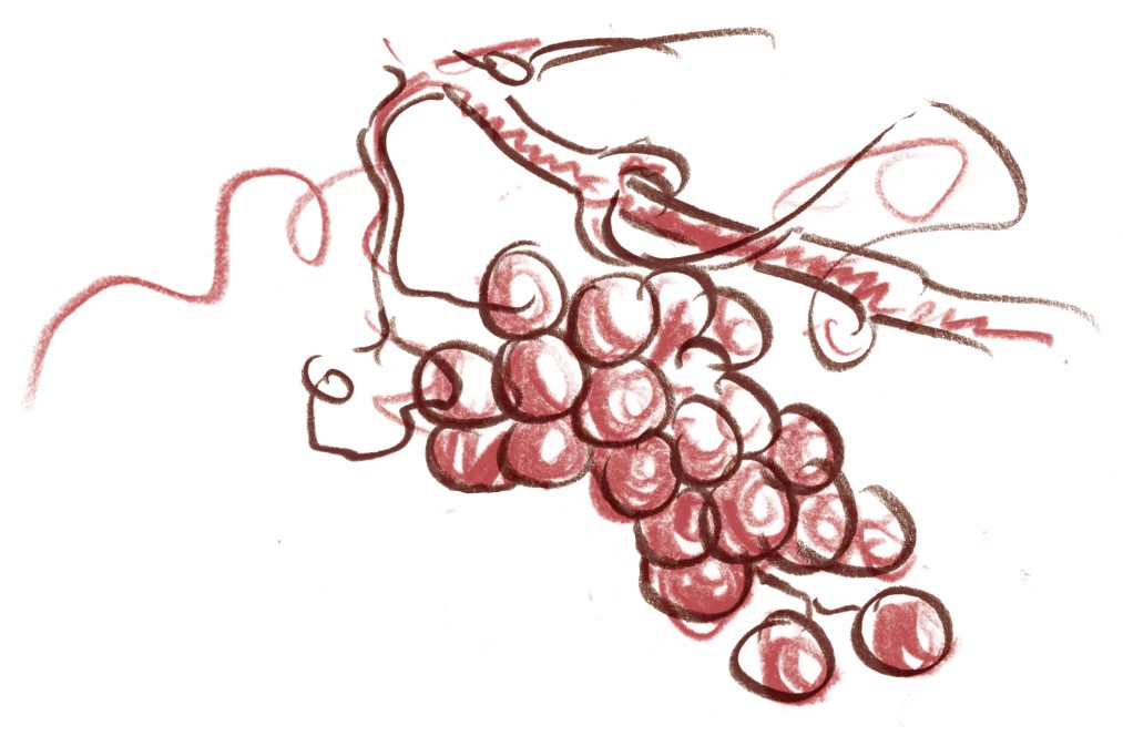 Gezeichnete Trauben